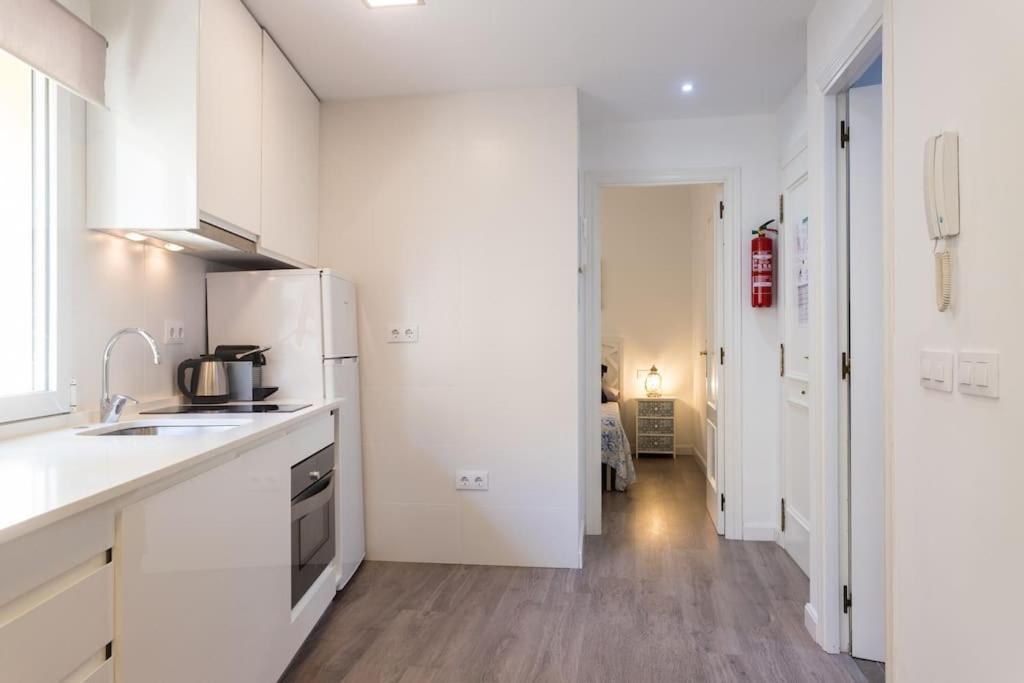Apartamento Casco Historico , Playa Postiguet 阿利坎特 外观 照片